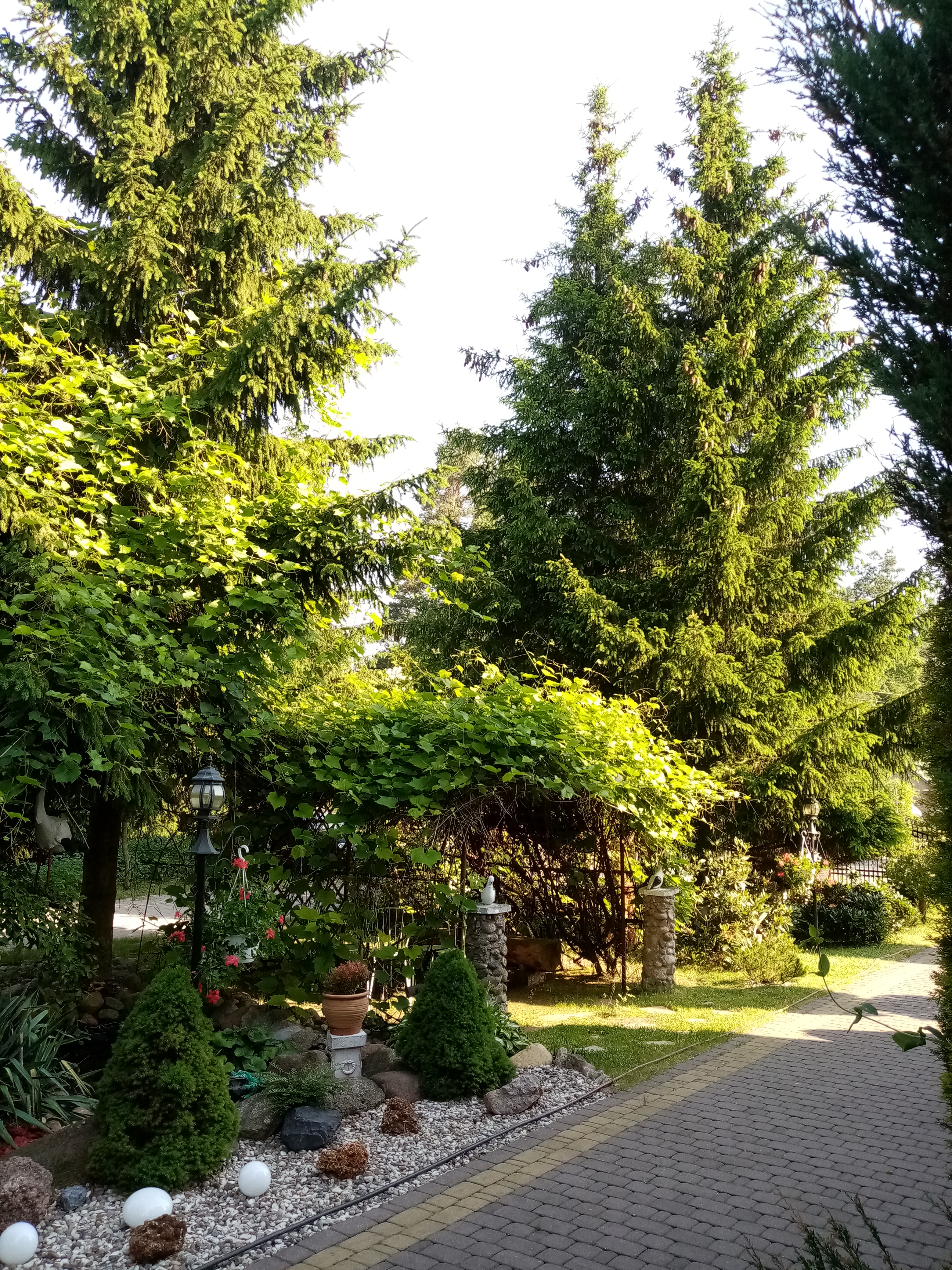 Letni widok gospodarstwa