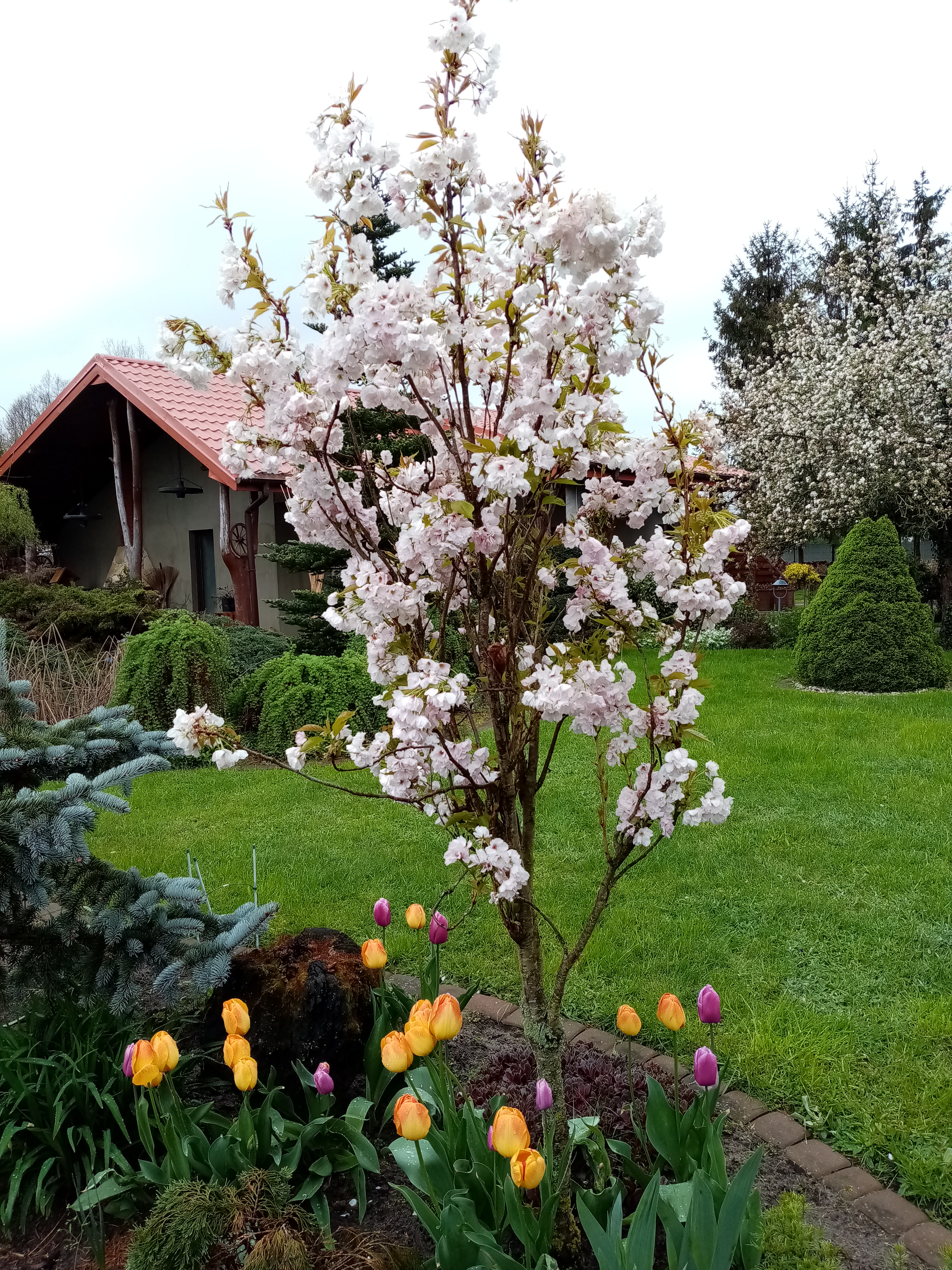 Wiosenny widok gospodarstwa